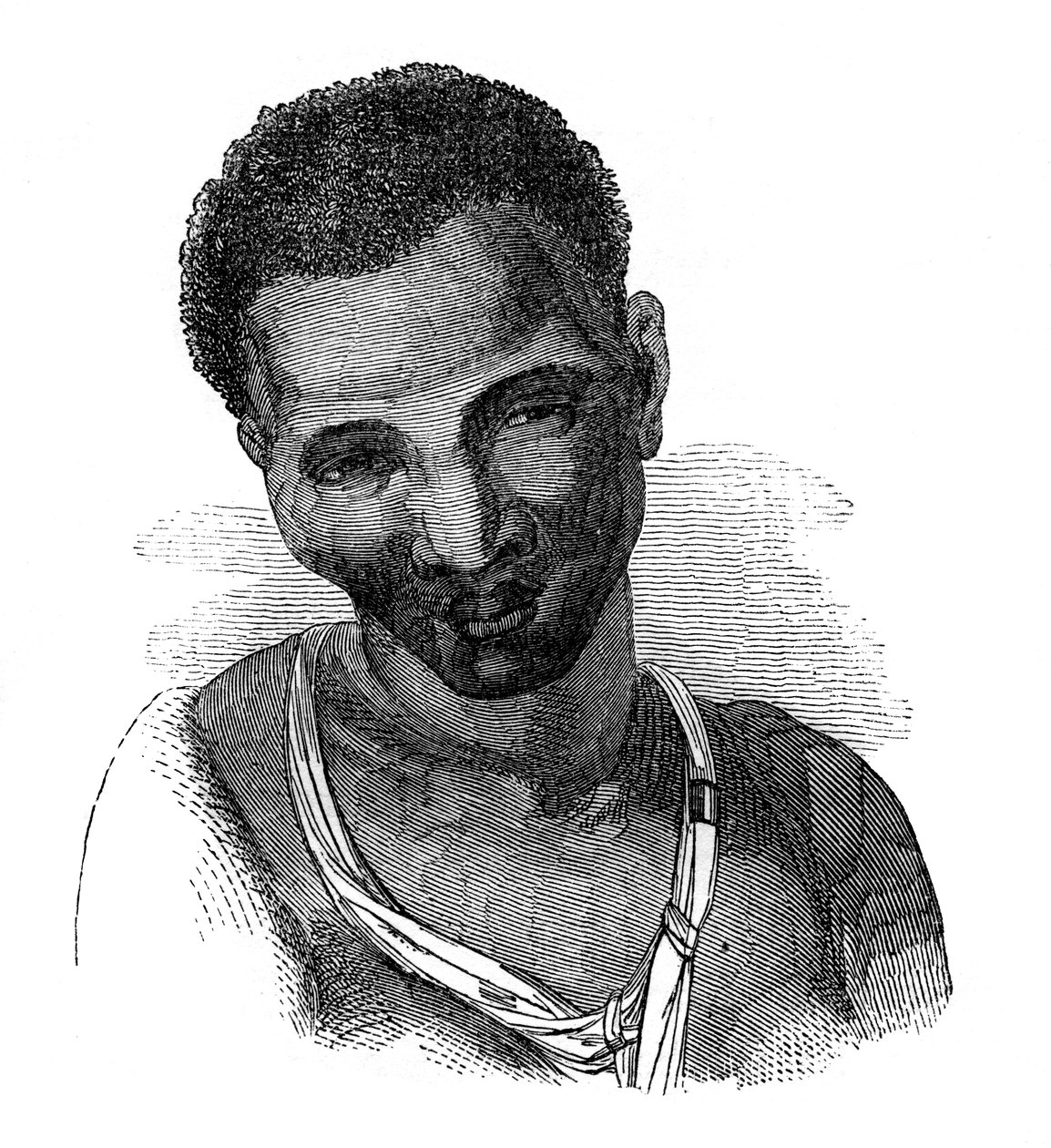 Hottentott-naaras, 1848 tekijältä Unbekannt