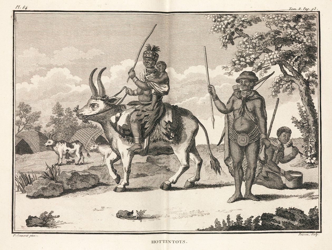 "Hottentots", Afrikka tekijältä Unbekannt