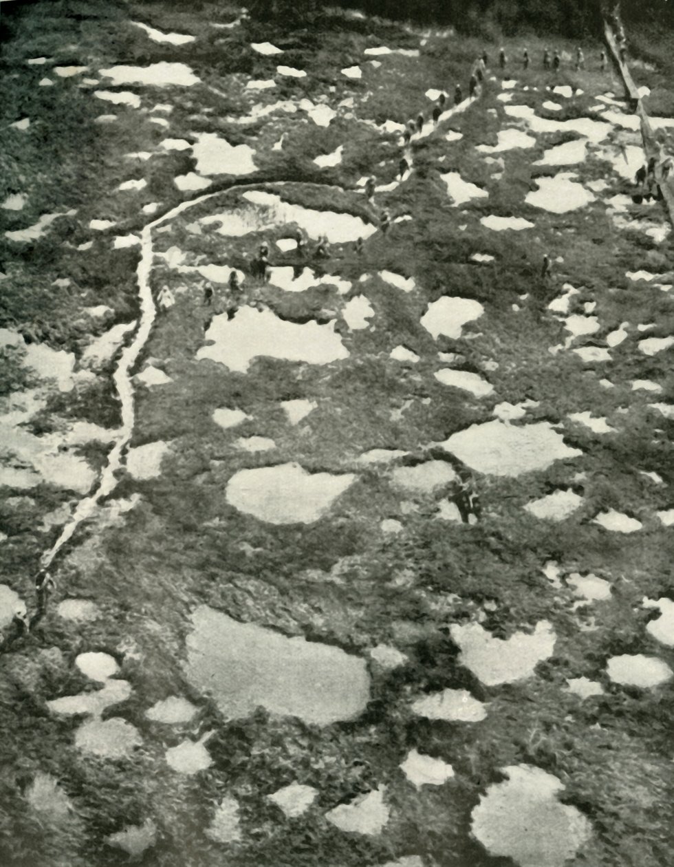 Kuinka sää esti edistymistä, 1919. tekijältä Unbekannt