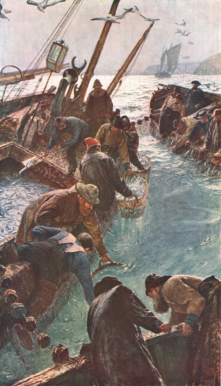 How We Caught the Pilchards, 1895, c1902. tekijältä Unbekannt