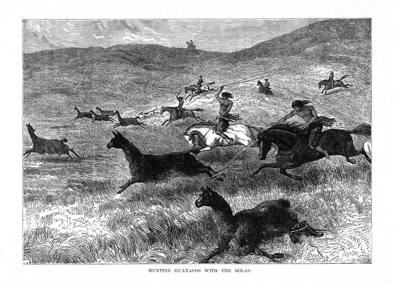 Guanakoiden metsästys bolojen kanssa, Etelä-Amerikka, 1877 tekijältä Unbekannt