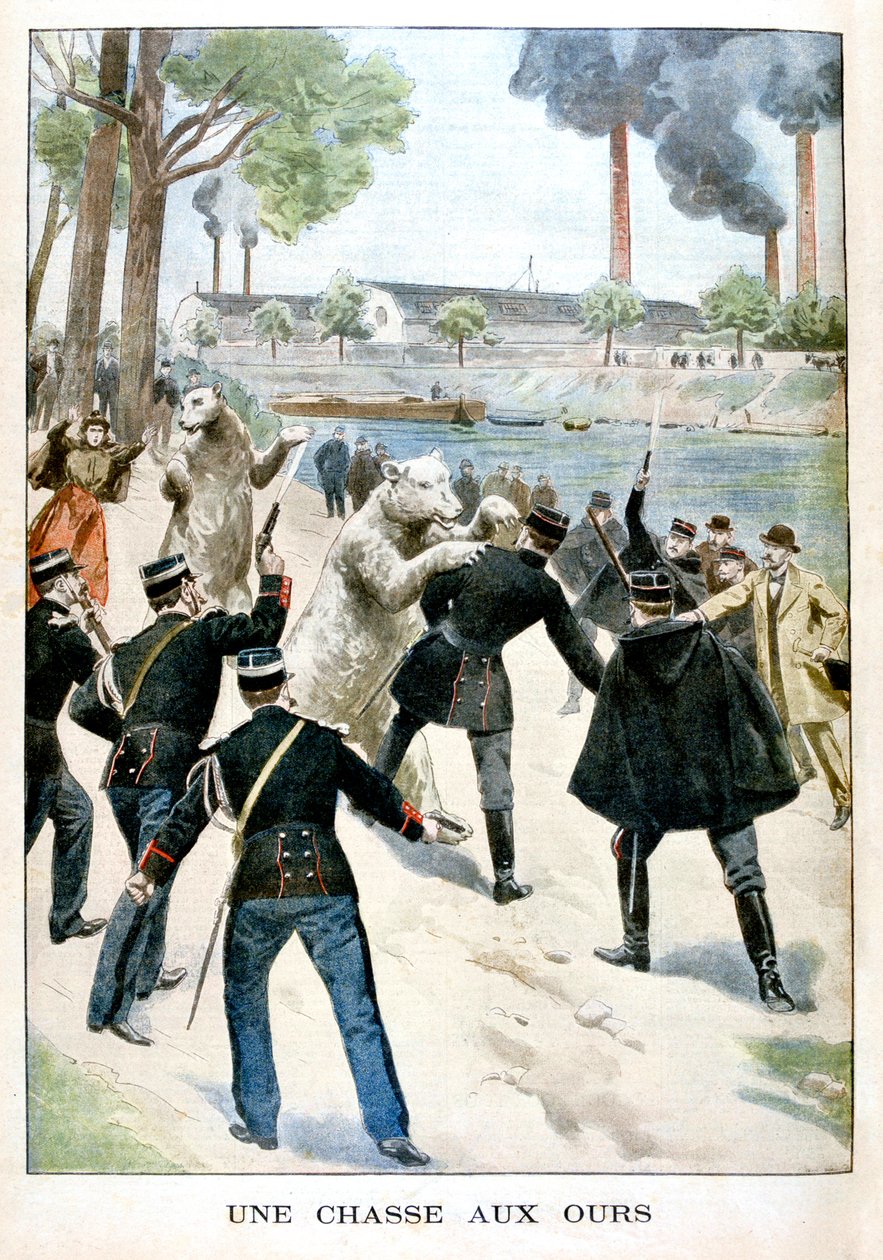 Karhujen metsästys, 1901 tekijältä Unbekannt