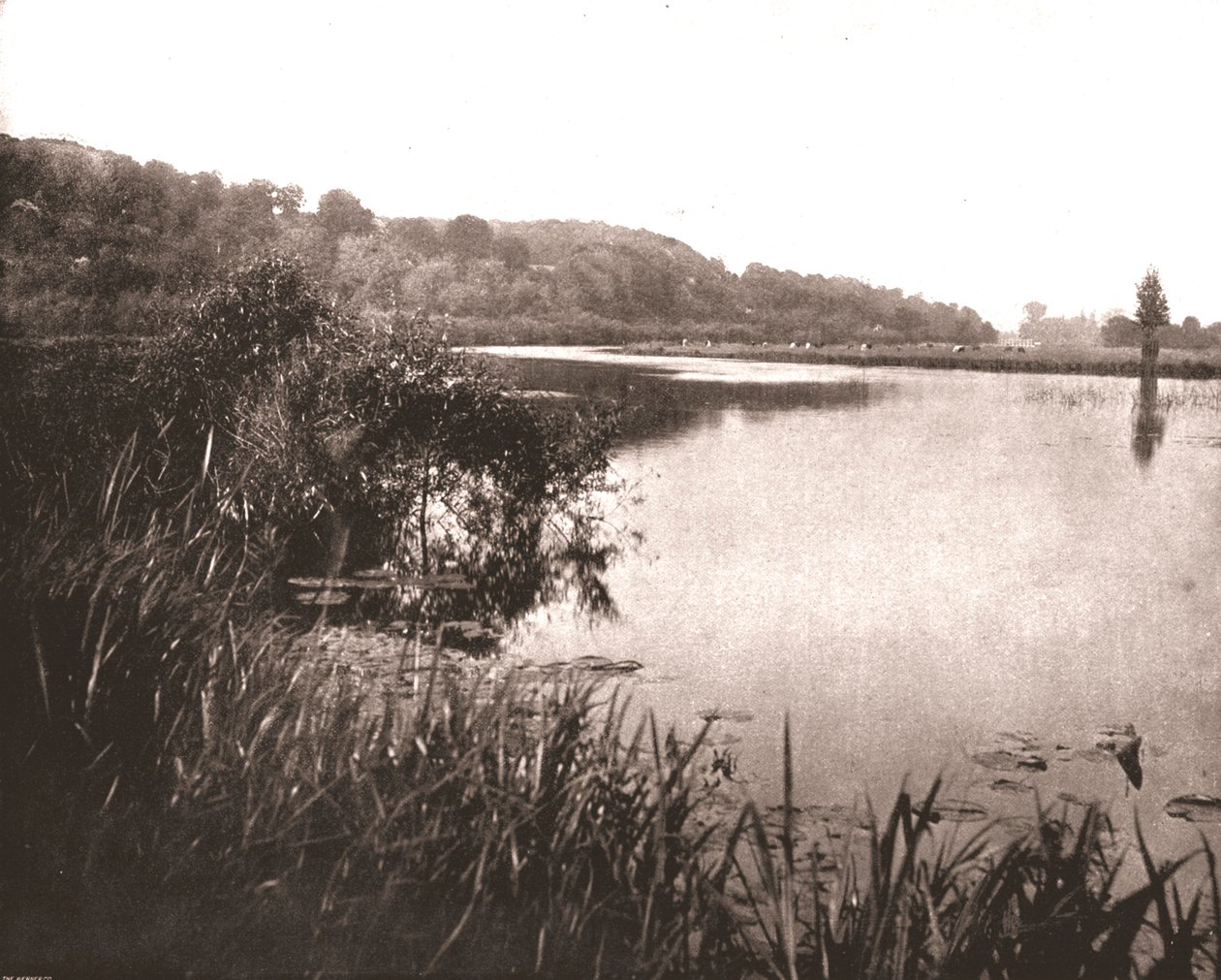 Hurley Reach, Thames-joki Bishamin ja Medmenhamin välillä, Buckinghamshire, 1894. tekijältä Unbekannt