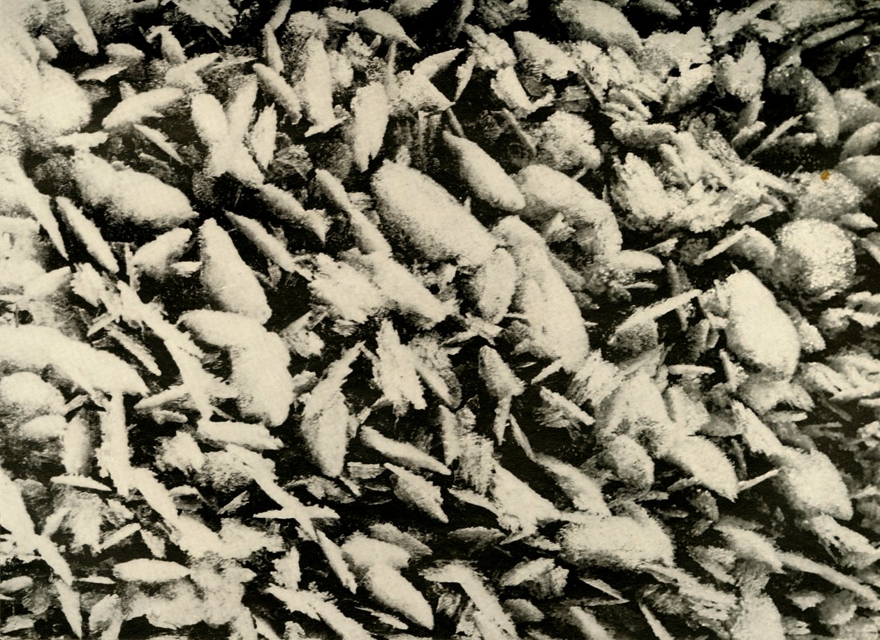 Jääkristalleja kotakuistin katolla, c1908, 1909 tekijältä Unbekannt