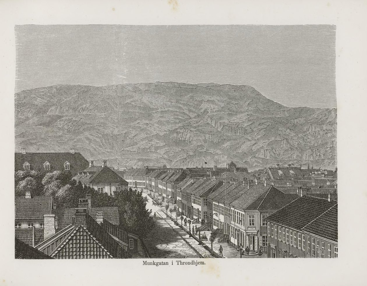 Kuvitus Nordka taflor av ukjent forfatter og utgitt av Albert Bonnier tekijältä Unbekannt