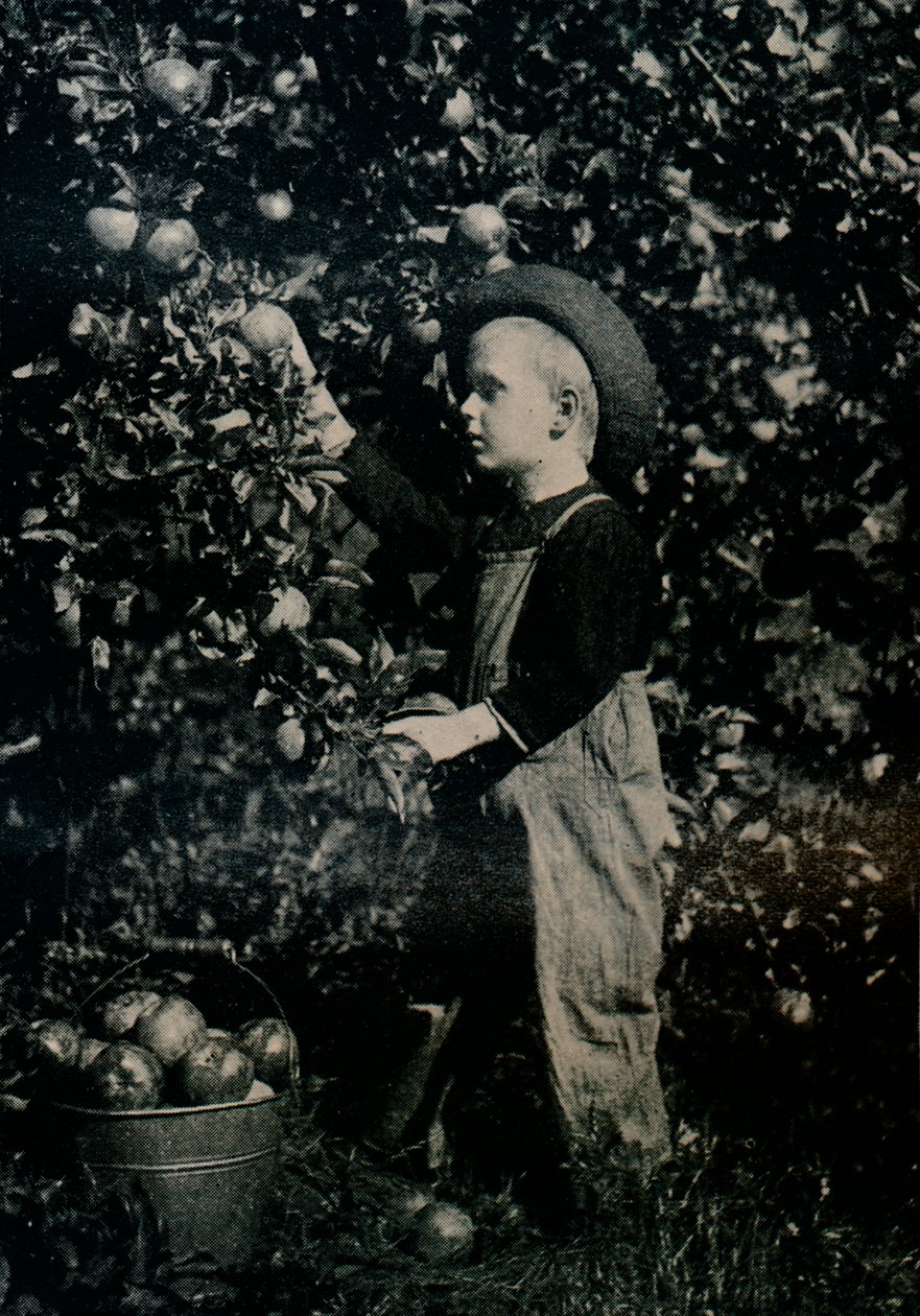 Yhdessä Ontaariosin hedelmäisessä hedelmätarhassa, vuodelta 1934 tekijältä Unbekannt