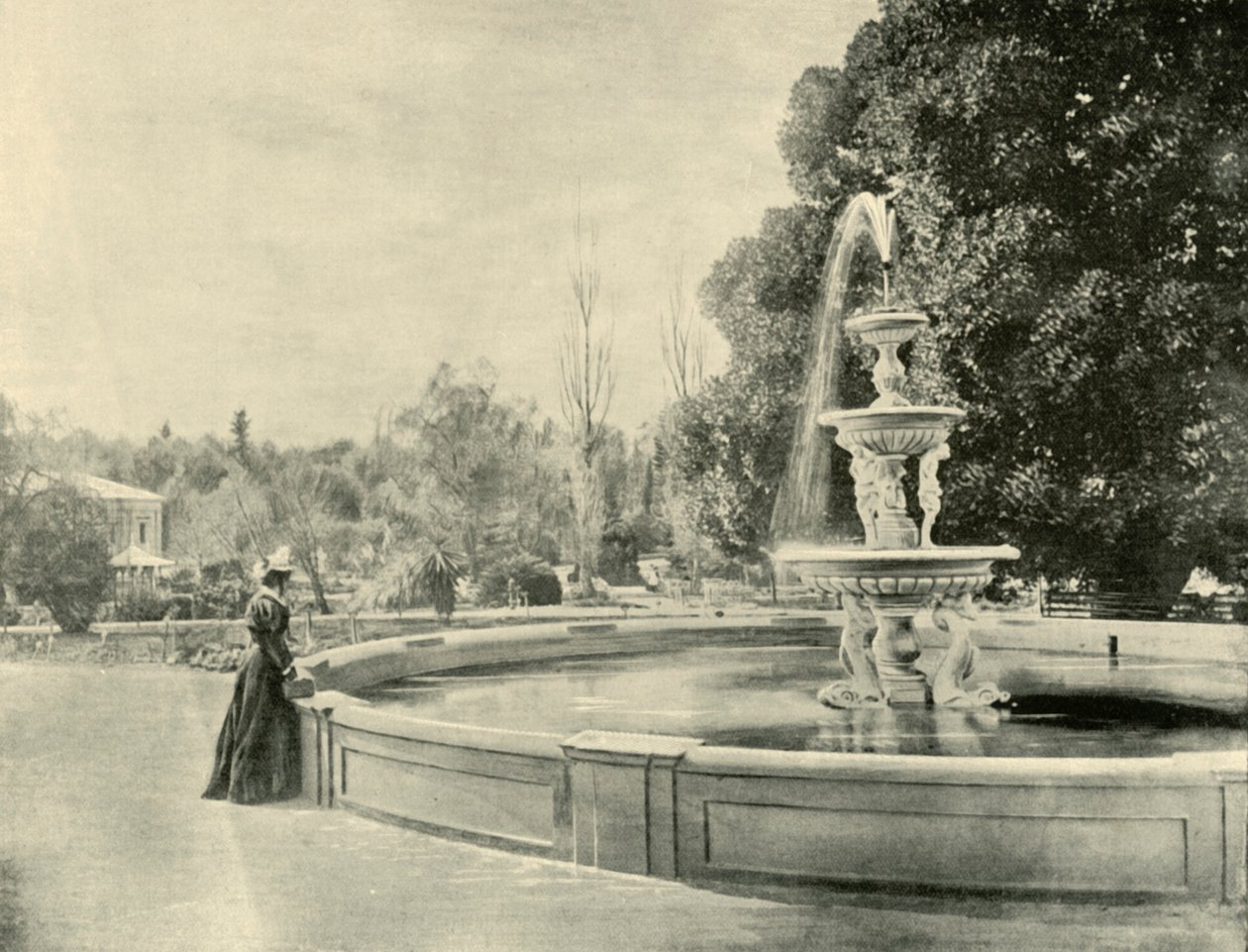 Kasvitieteellisessä puutarhassa, Adelaidessa, 1901. tekijältä Unbekannt