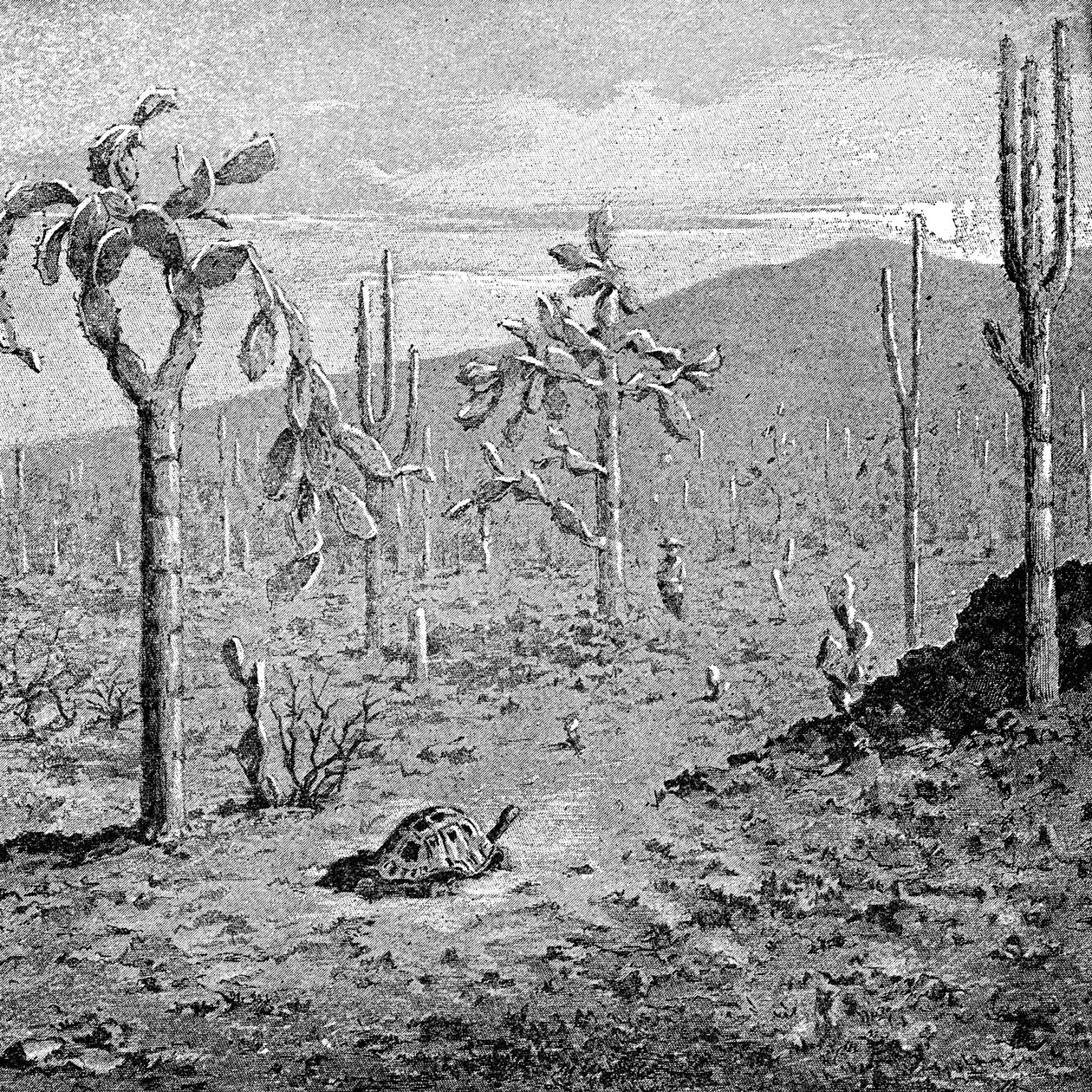 Väsymätön saari, Galapagossaaristo, 1895 tekijältä Unbekannt