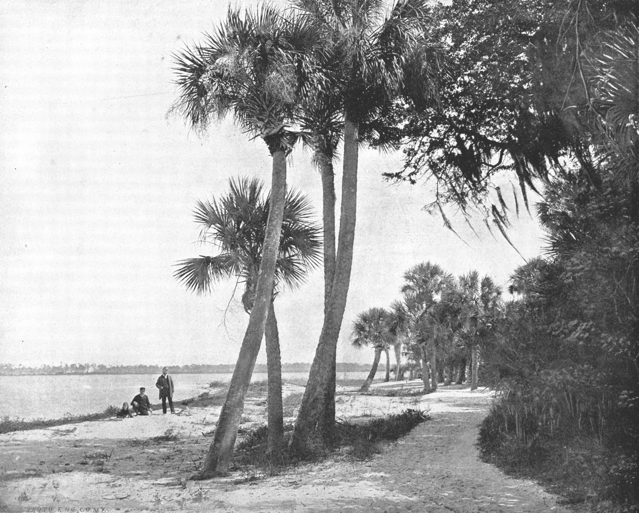 Indian River, Florida, USA, c1900. tekijältä Unbekannt