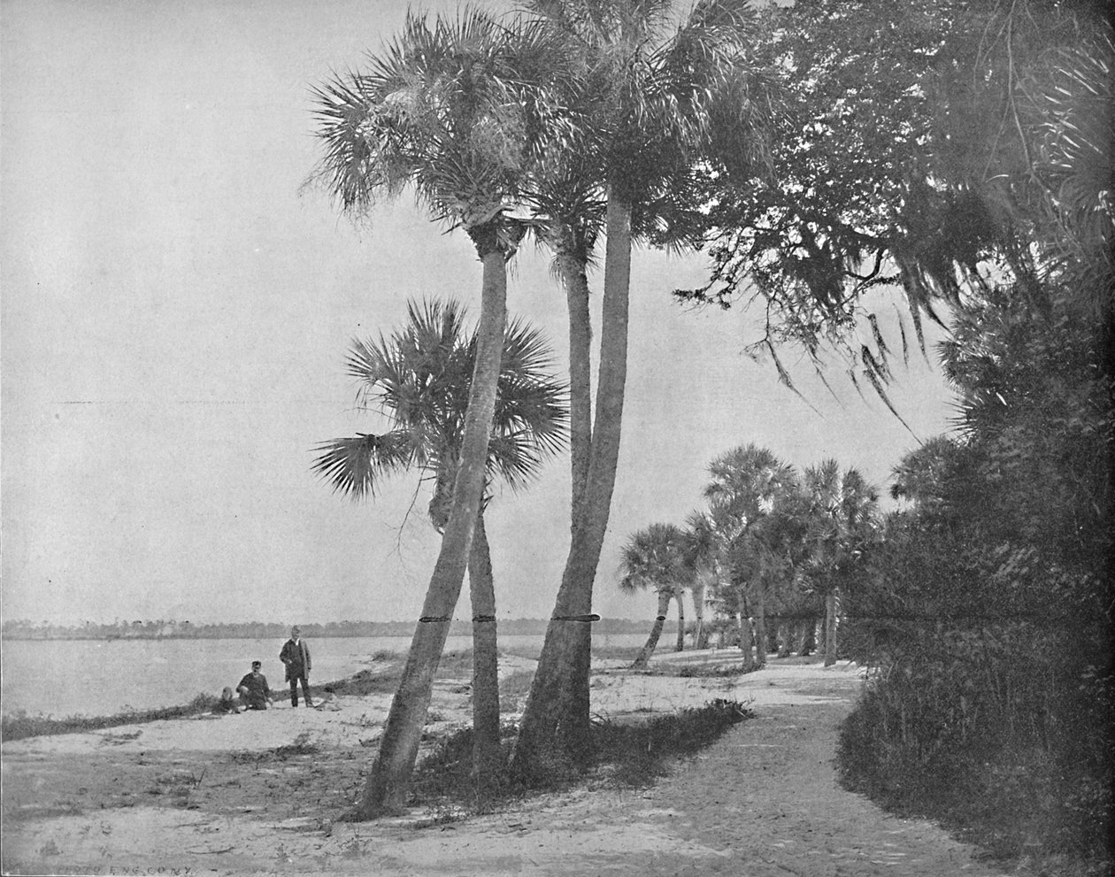 Indian River, Florida, 1897. tekijältä Unbekannt