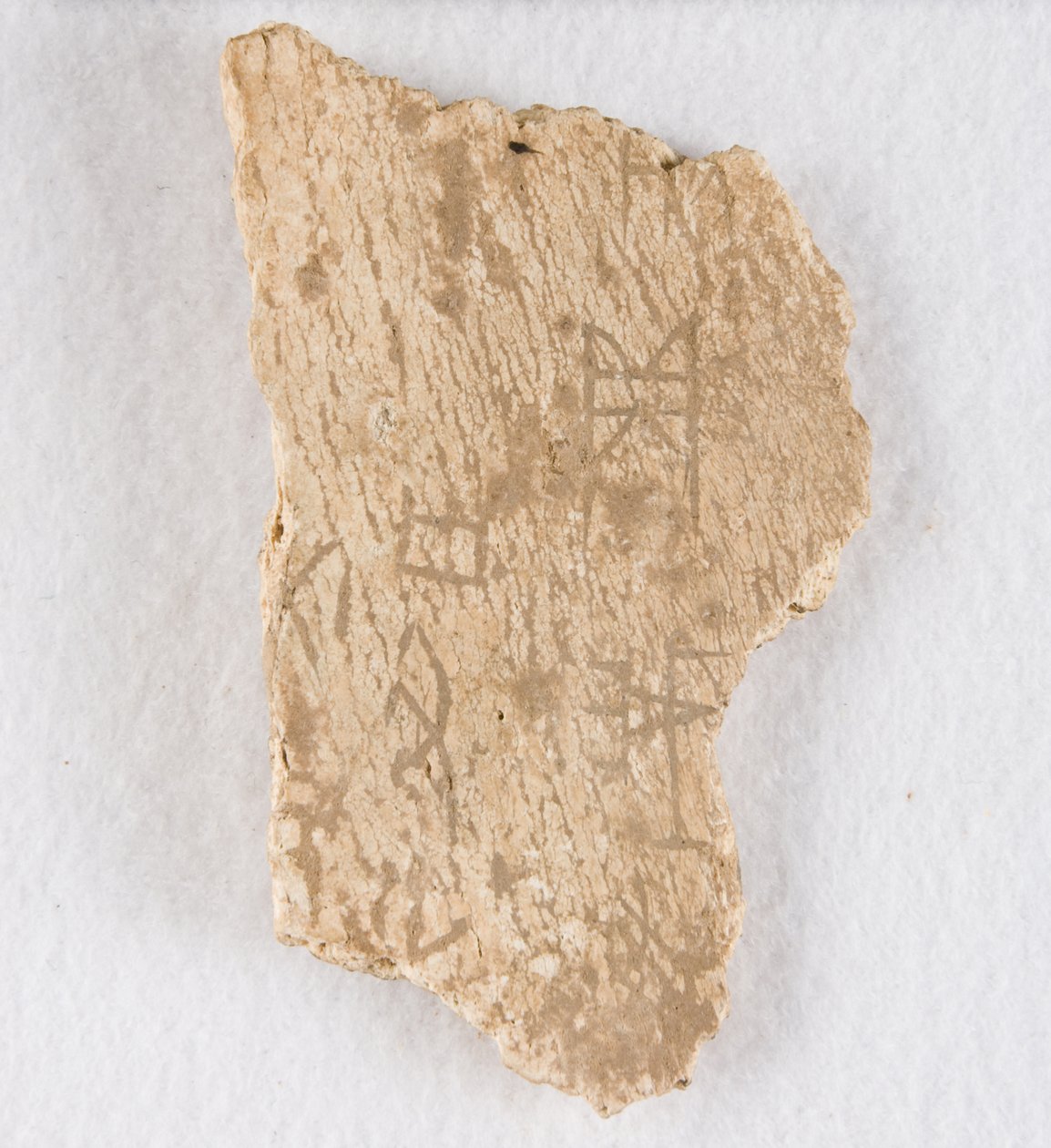 Kaiverrettu luufragmentti oraakkeliluu, myöhäinen Shang-dynastia, n. 1300-1050 eaa. tekijältä Unbekannt
