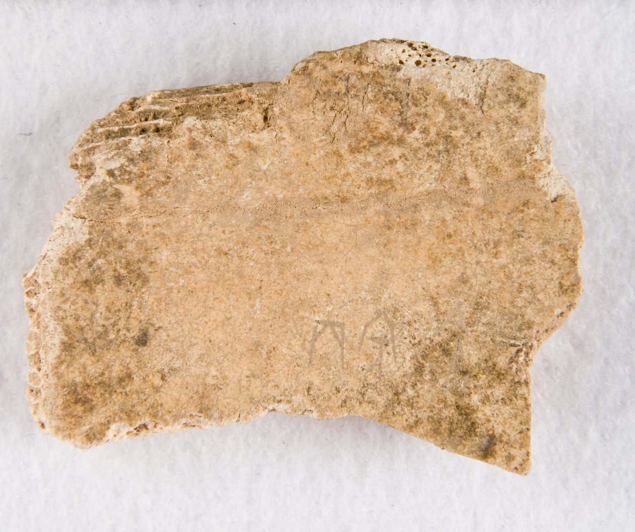 Kaiverrettu luufragmentti oraakkeliluu, myöhäinen Shang-dynastia, n. 1300-1050 eaa. tekijältä Unbekannt