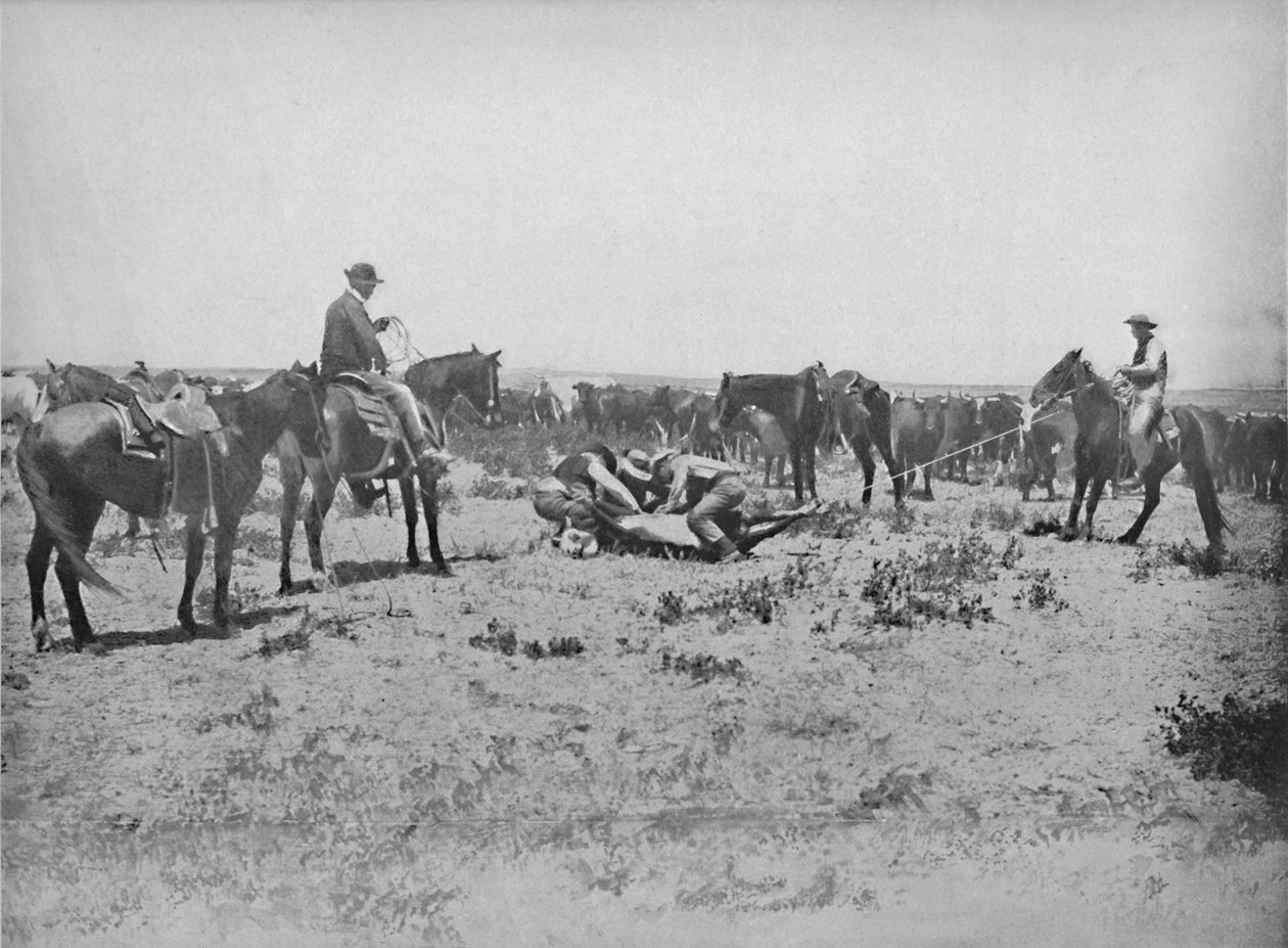 Inspecting a Brand on the Prairies, c1897. tekijältä Unbekannt
