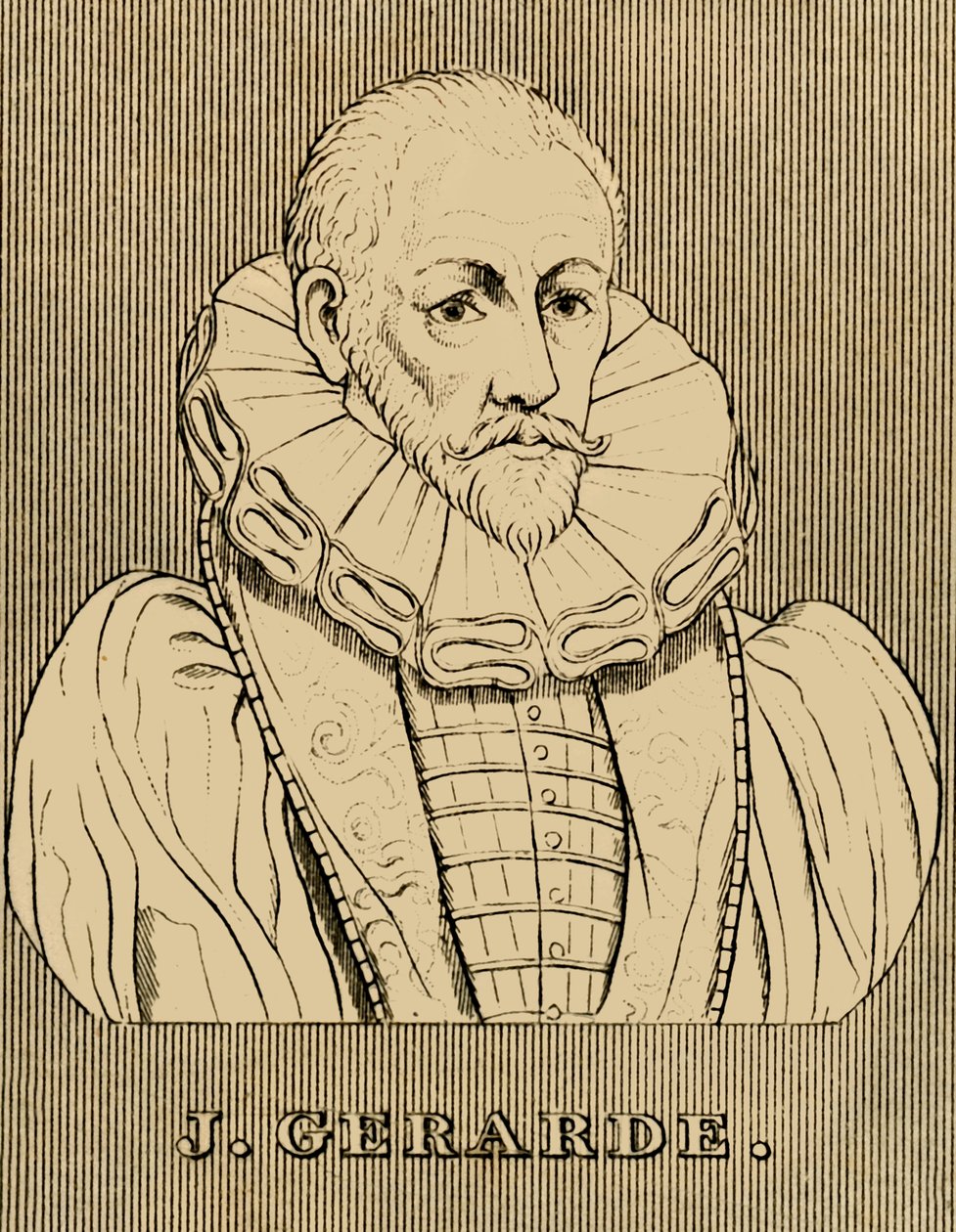 J. Gerarde, c1545-1612, 1830. tekijältä Unbekannt
