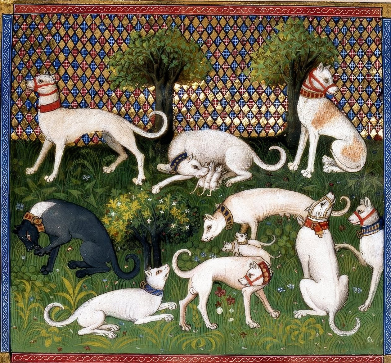 Jagdhunde (Alan) / Metsästyksen kirja tekijältä Unbekannt