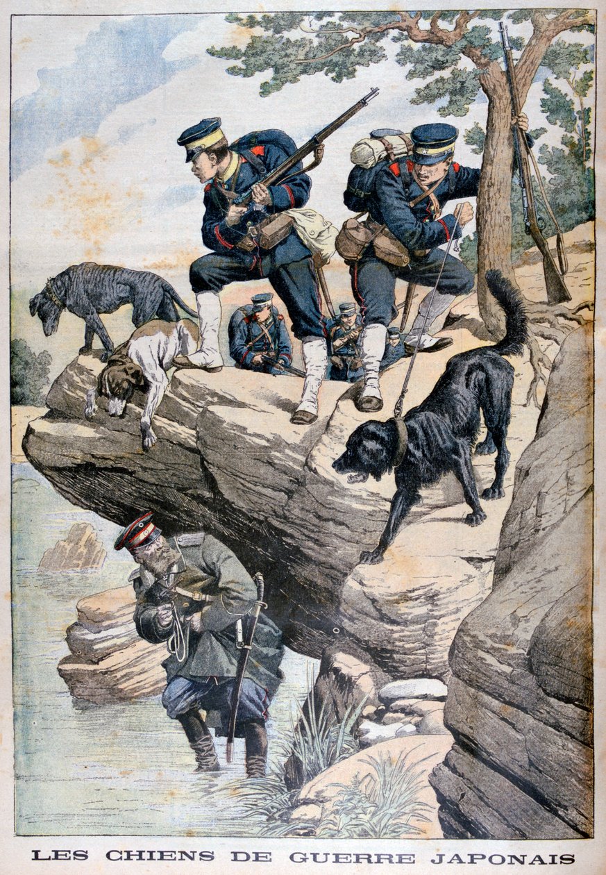 Japanilaiset sotilaat koirien kanssa löytävät piilossa olevan venäläisen, Venäjän ja Japanin sota, 1904 tekijältä Unbekannt
