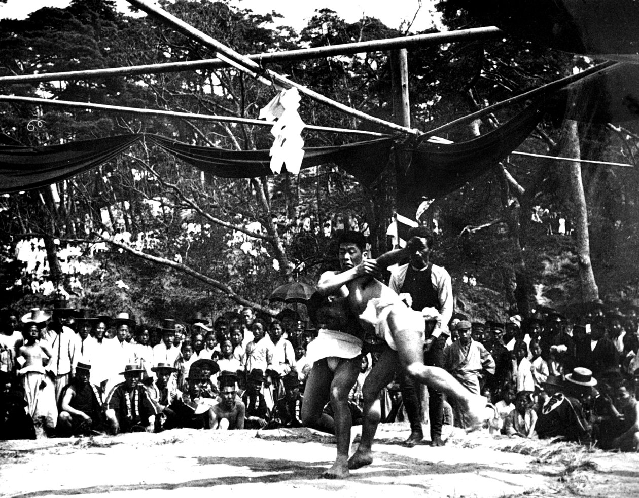 Japanilainen sumopaini, Korea, 1900 tekijältä Unbekannt