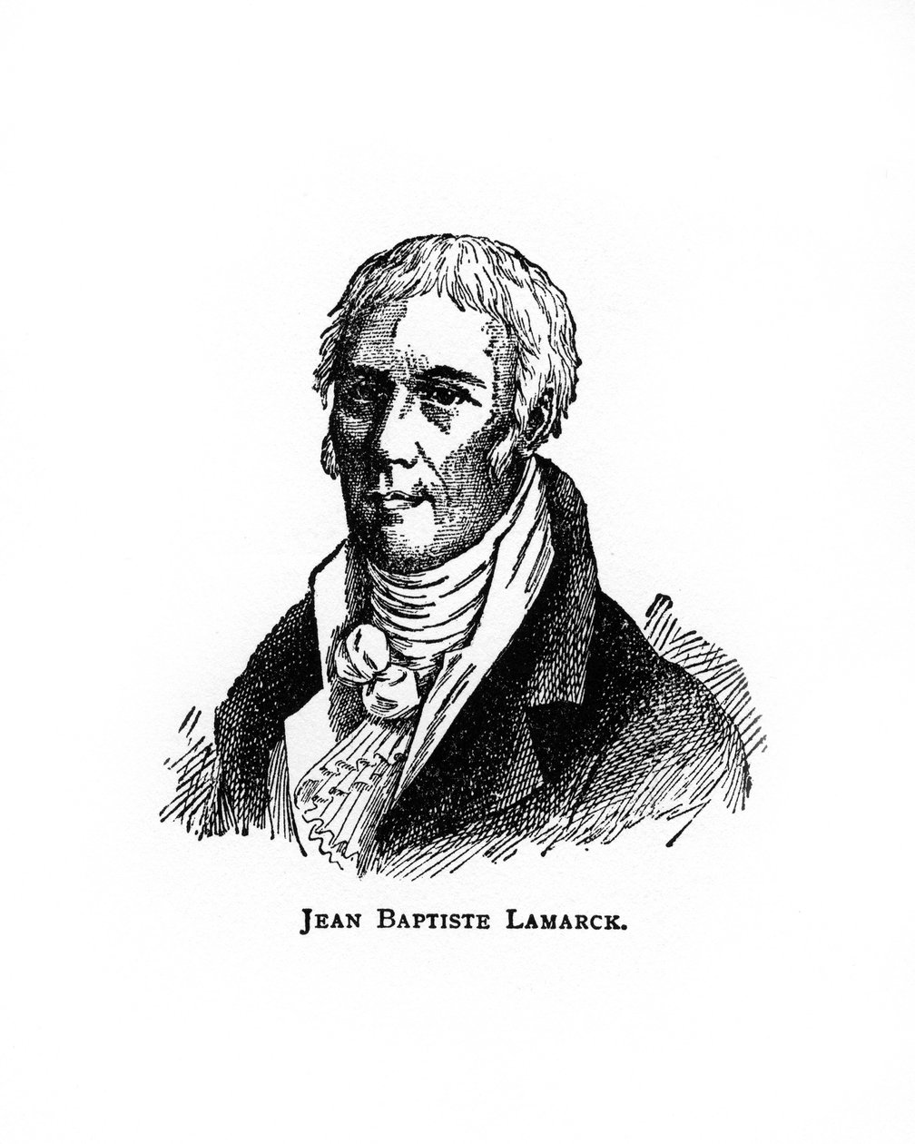 Jean-Baptiste Lamarck, ranskalainen luonnontieteilijä, 1900-luku tekijältä Unbekannt
