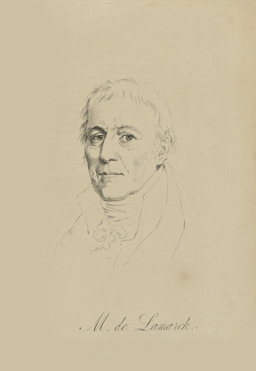 Jean-Baptiste Pierre Antoine de Monet, Chevalier de Lamarck 1744-1829, n. 1810. tekijältä Unbekannt