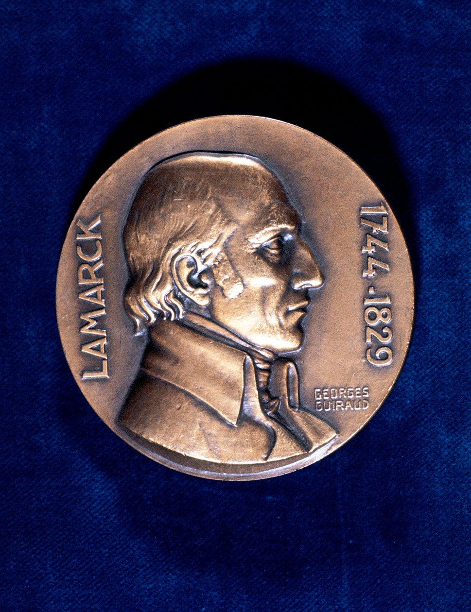 Jean Lamarck, ranskalainen luonnontieteilijä tekijältä Unbekannt