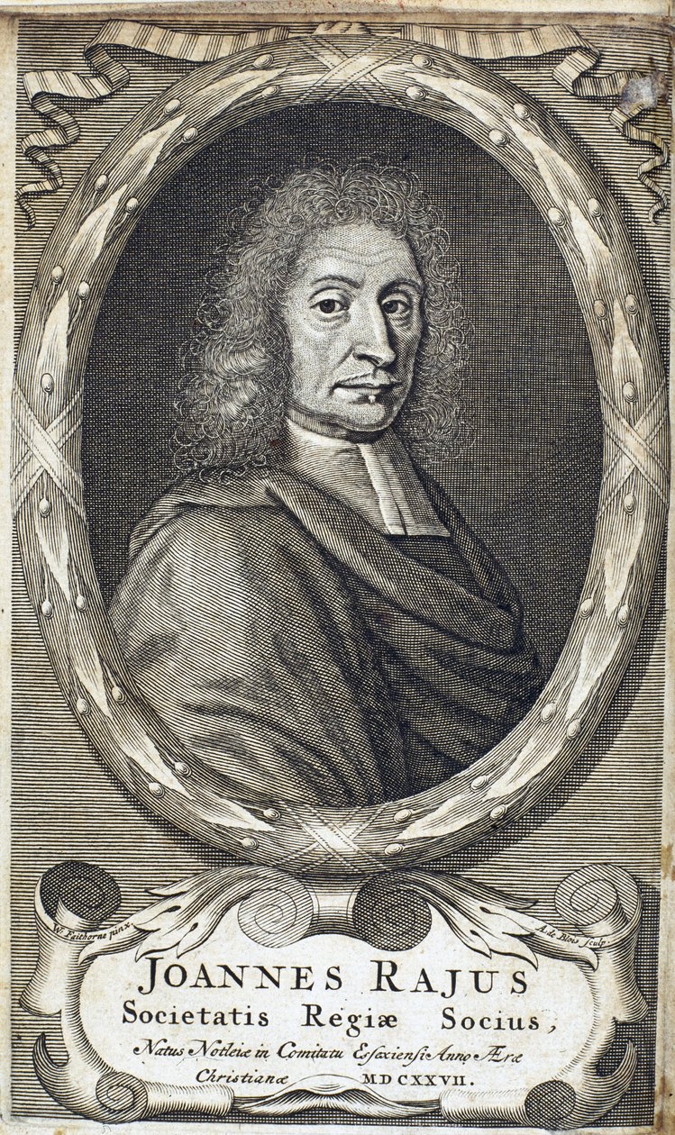 John Ray (Wray), englantilainen luonnontieteilijä, n. 1700 tekijältä Unbekannt