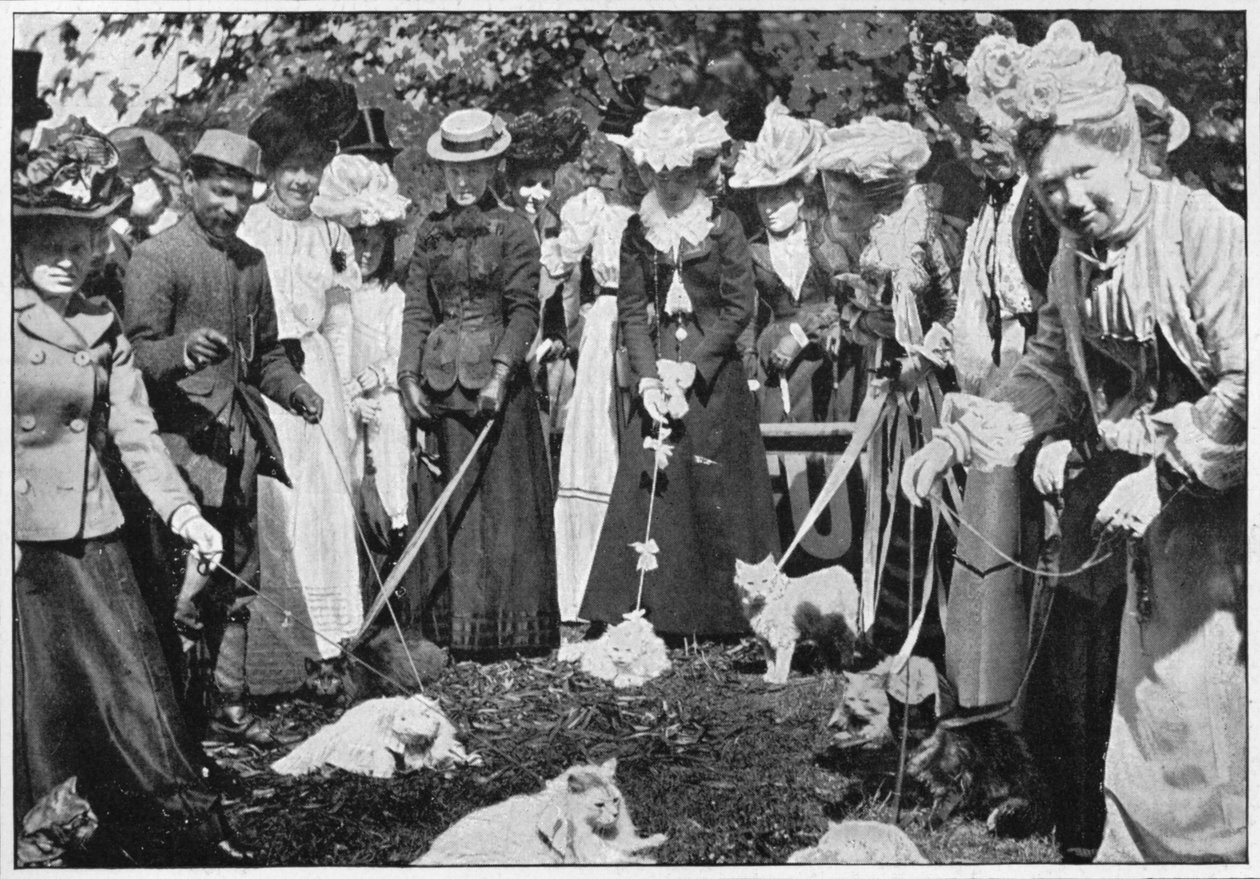 Kissojen arvostelu Royal Botanic Gardens -näyttelyssä, Kew, Lontoo, 1900 1901 tekijältä Unbekannt