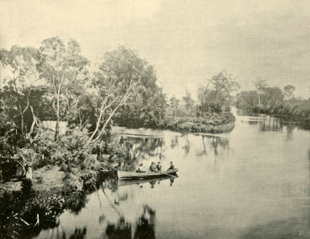 Glengarry & Thompson Riversin risteys, Victoria, 1901. tekijältä Unbekannt