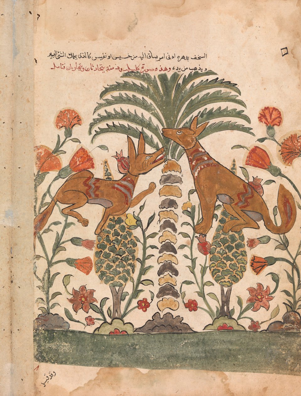Kalila Upbraiding Dimna, Folio Kalila wa Dimnasta, 1700-luku. tekijältä Unbekannt