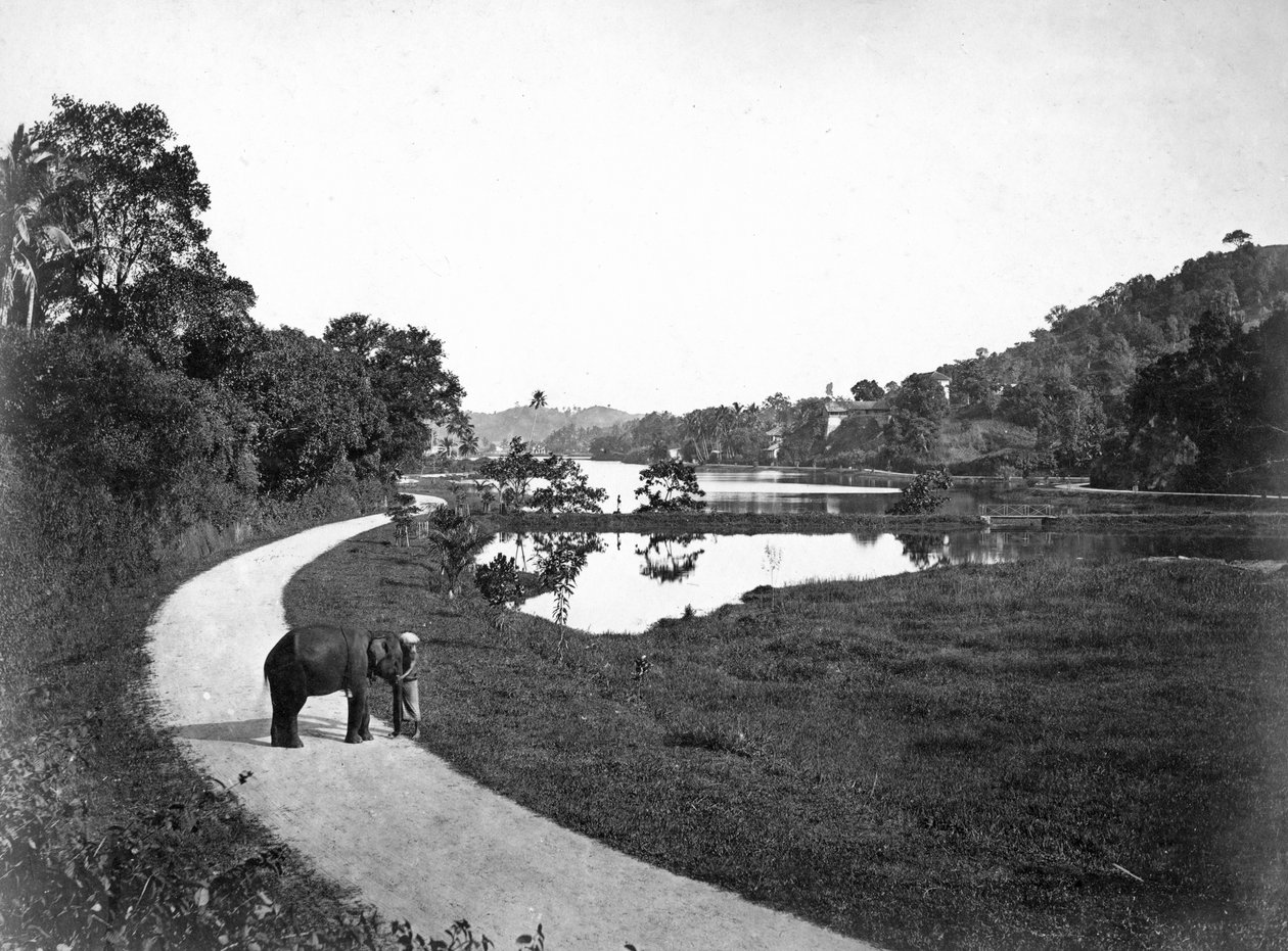 Kandy Lake, Kandy, Sri Lanka, 1910-luku tekijältä Unbekannt