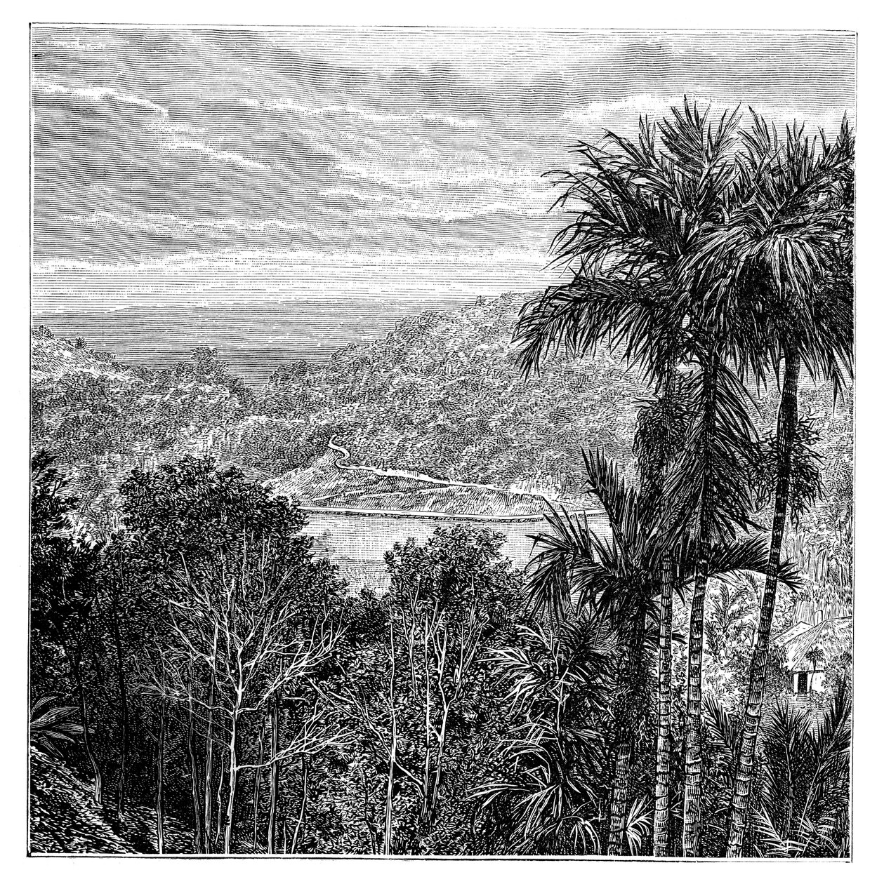 Kandy Maha Nuvara, Sri Lanka, 1895 tekijältä Unbekannt