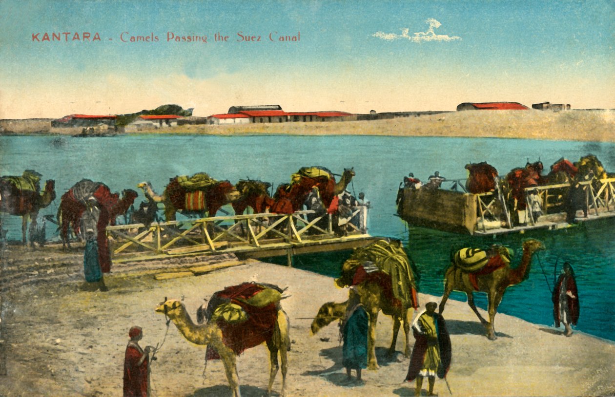 Kantara - Kamelit ohittavat Suezin kanavan, c1918-c1939. tekijältä Unbekannt