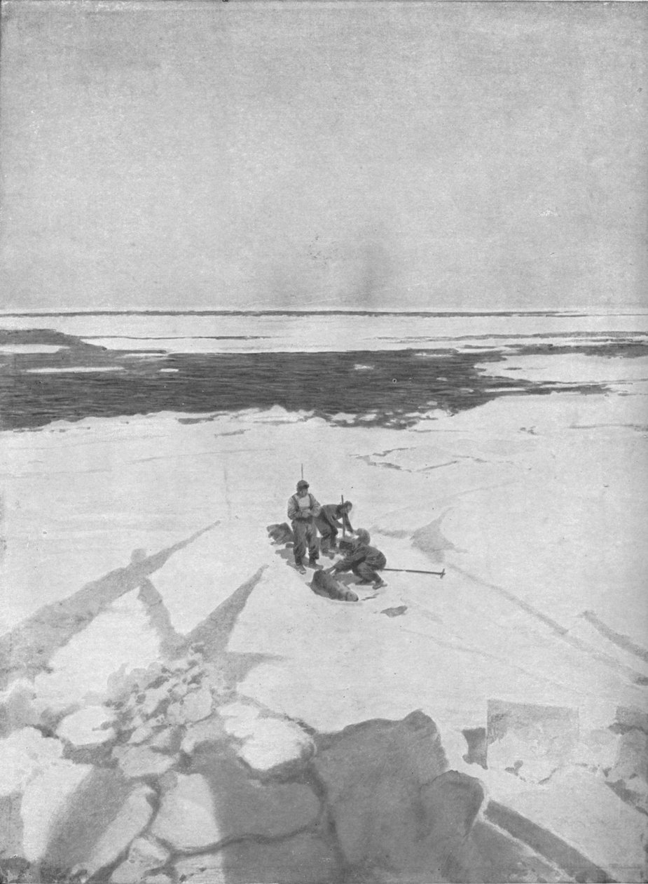Killing Seals, 1911, 1928 tekijältä Unbekannt