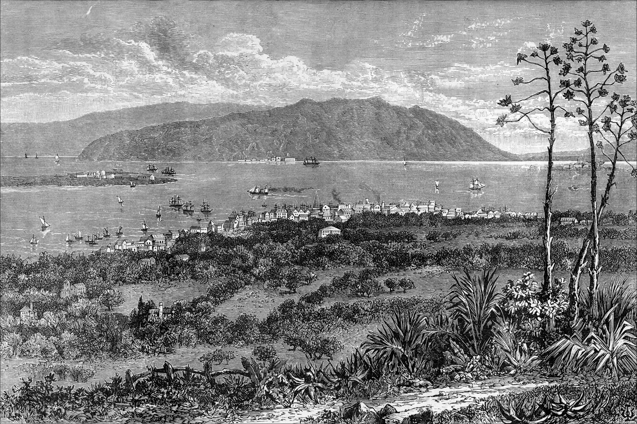 Kingston Harbour, Jamaika, 1880 tekijältä Unbekannt