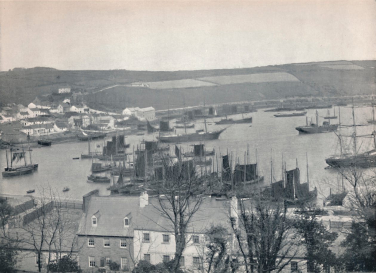 Kinsale - Kalastuslaivasto satamassa, 1895 tekijältä Unbekannt
