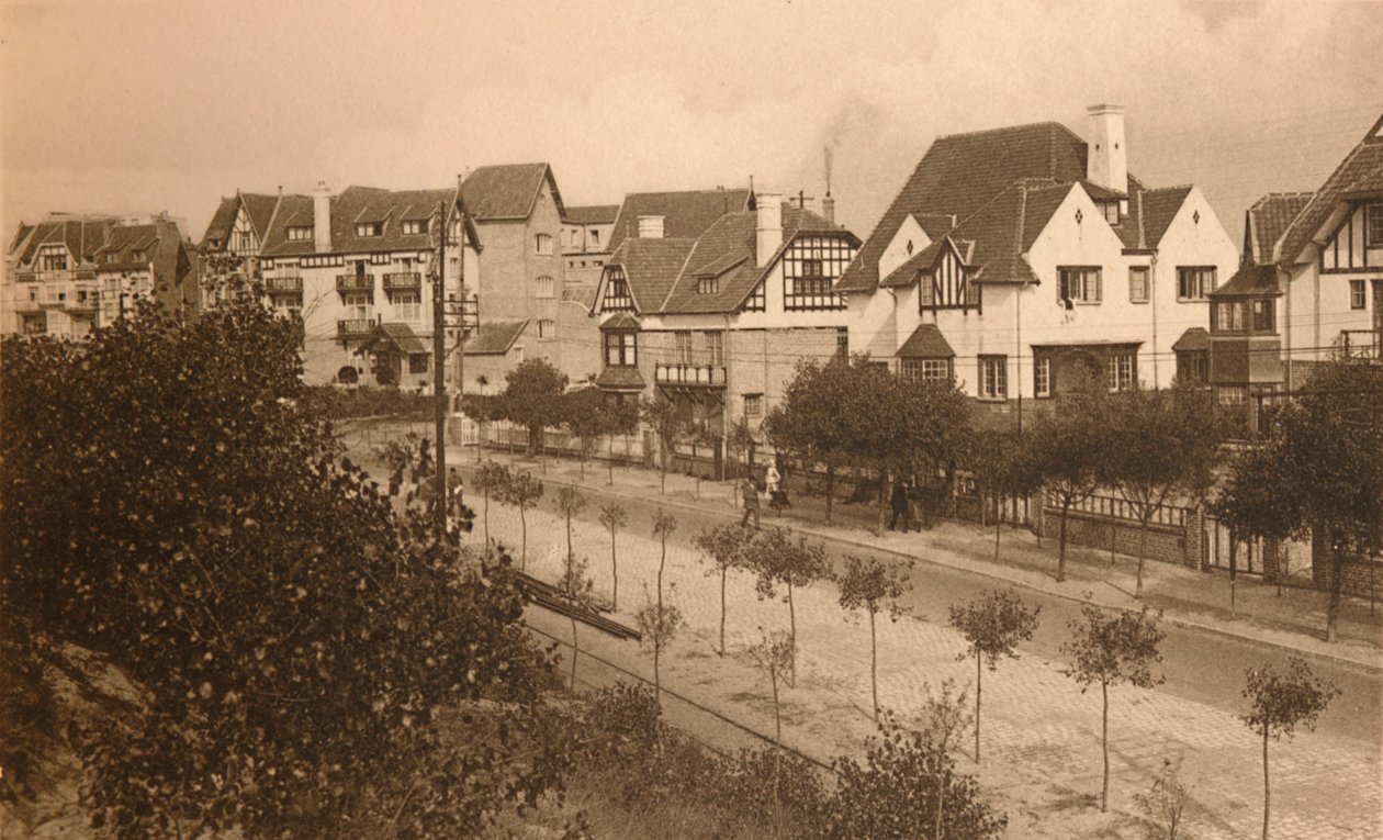 Avenue Elisabeth, c1900. tekijältä Unbekannt