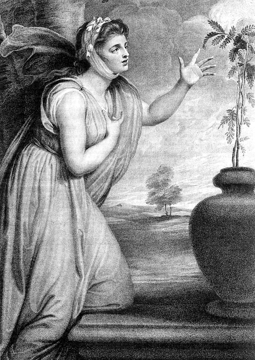 Lady Emma Hamilton, Sir William Hamiltonin vaimo ja Horatio Nelsonin rakastajatar tekijältä Unbekannt
