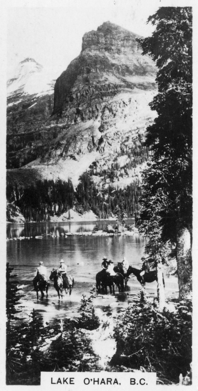 Lake OHara, Brittiläinen Kolumbia, Kanada, 1920-luku tekijältä Unbekannt