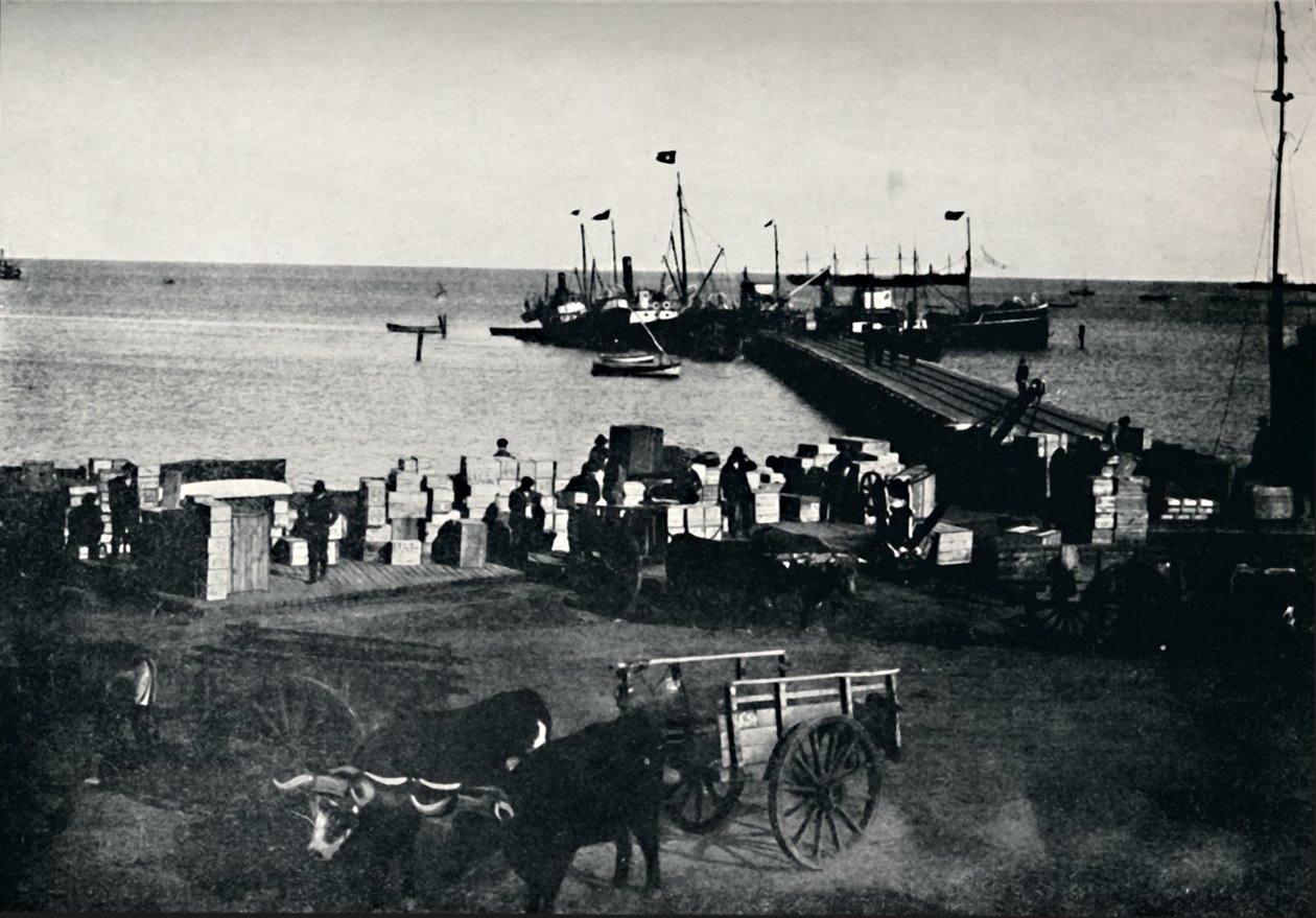 Laskeutumispaikka, Punta Arenas, 1911 tekijältä Unbekannt
