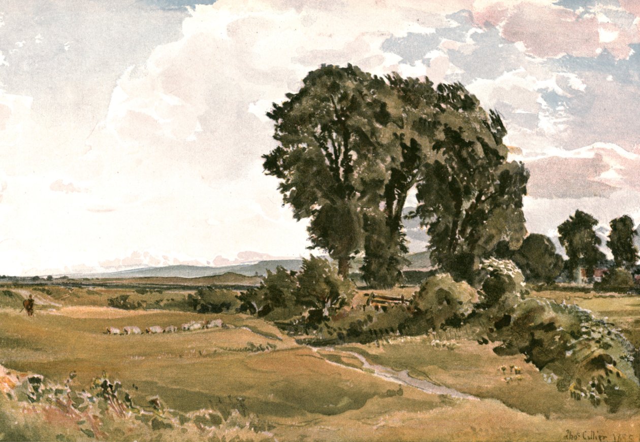 Maisema, lähellä Warehamia, Dorset - ulkoilupiirros, c1900. tekijältä Unbekannt