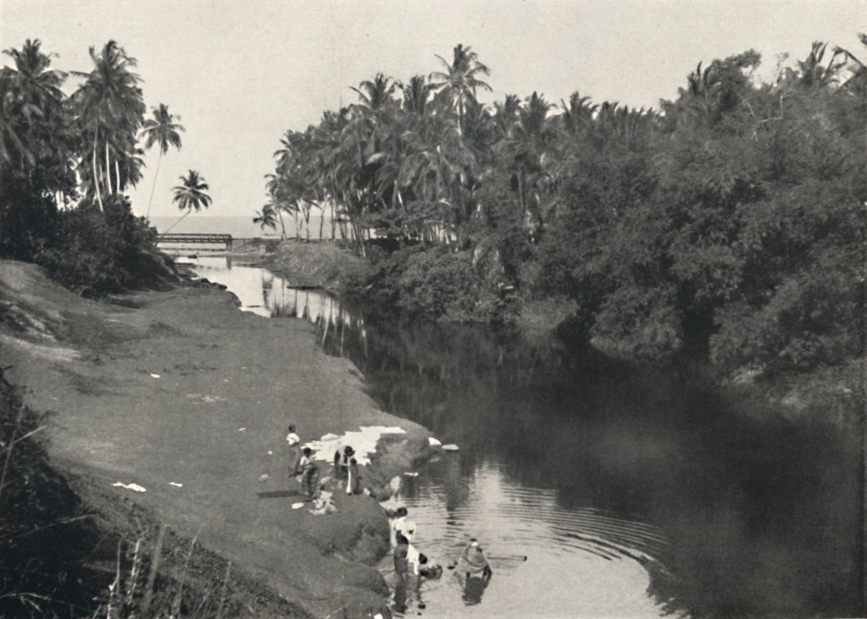 Jokimaisema Dehiwalassa, Colombon ja Mount Lavinian välissä, 1926 tekijältä Unbekannt