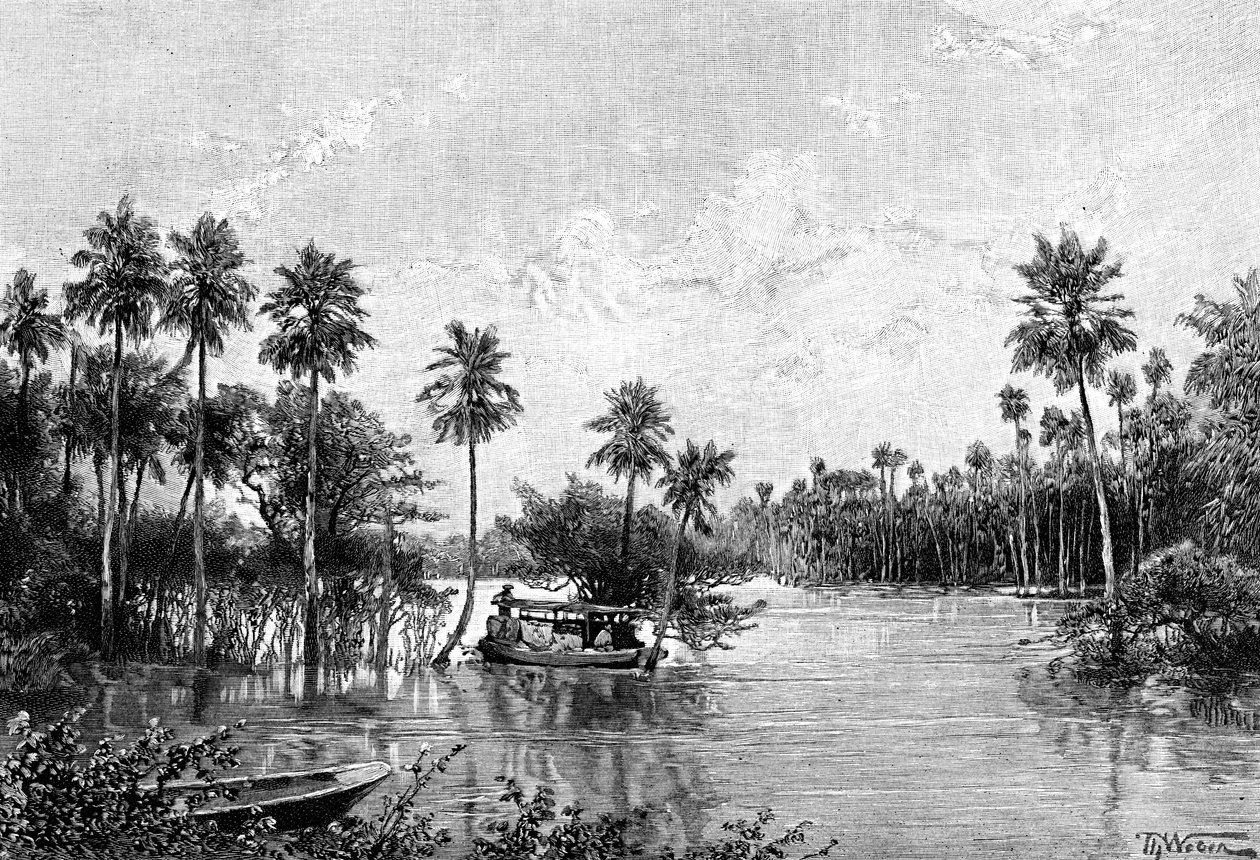 Las Palmes Lagunas, lähellä Pilcomayon suuta, 1895 tekijältä Unbekannt