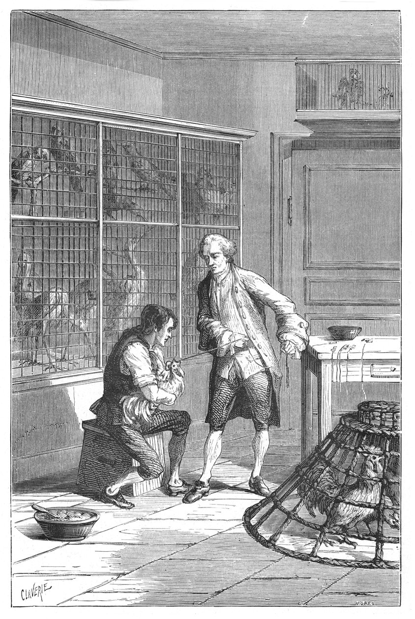 Lazaro Spallanzani, 1700-luvun italialainen luonnontieteilijä ja biologi, 1874 tekijältä Unbekannt