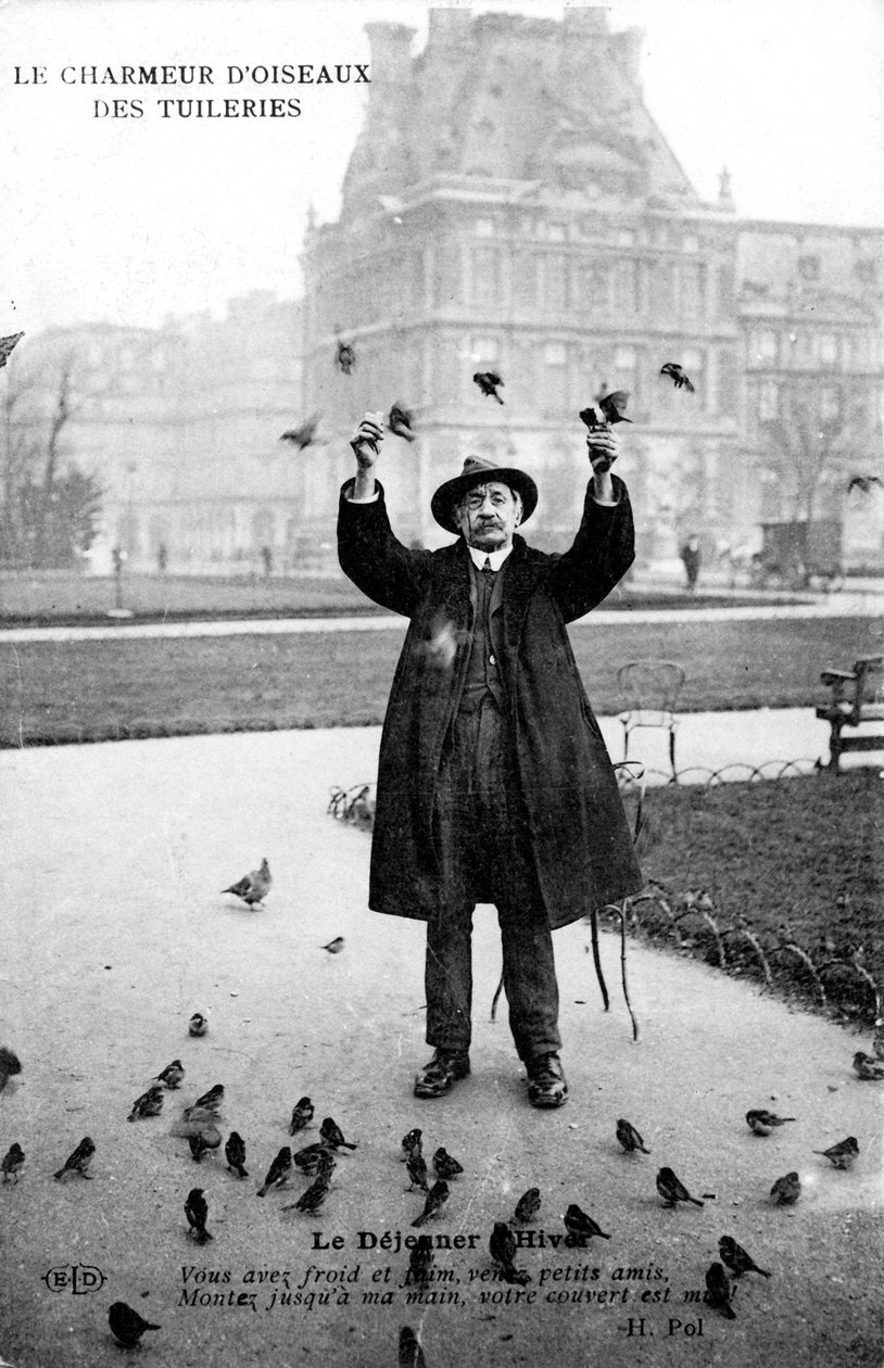 Tuileries-lintujen hurmaaja, 1900-luku tekijältä Unbekannt
