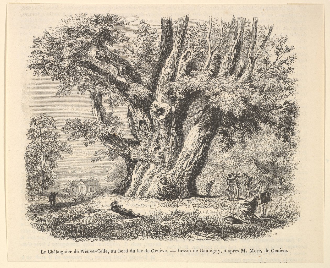 Neuve-Cellen kastanjapuu Genevejärven rannalla Daubignyn jälkeen, 1835-78. tekijältä Unbekannt