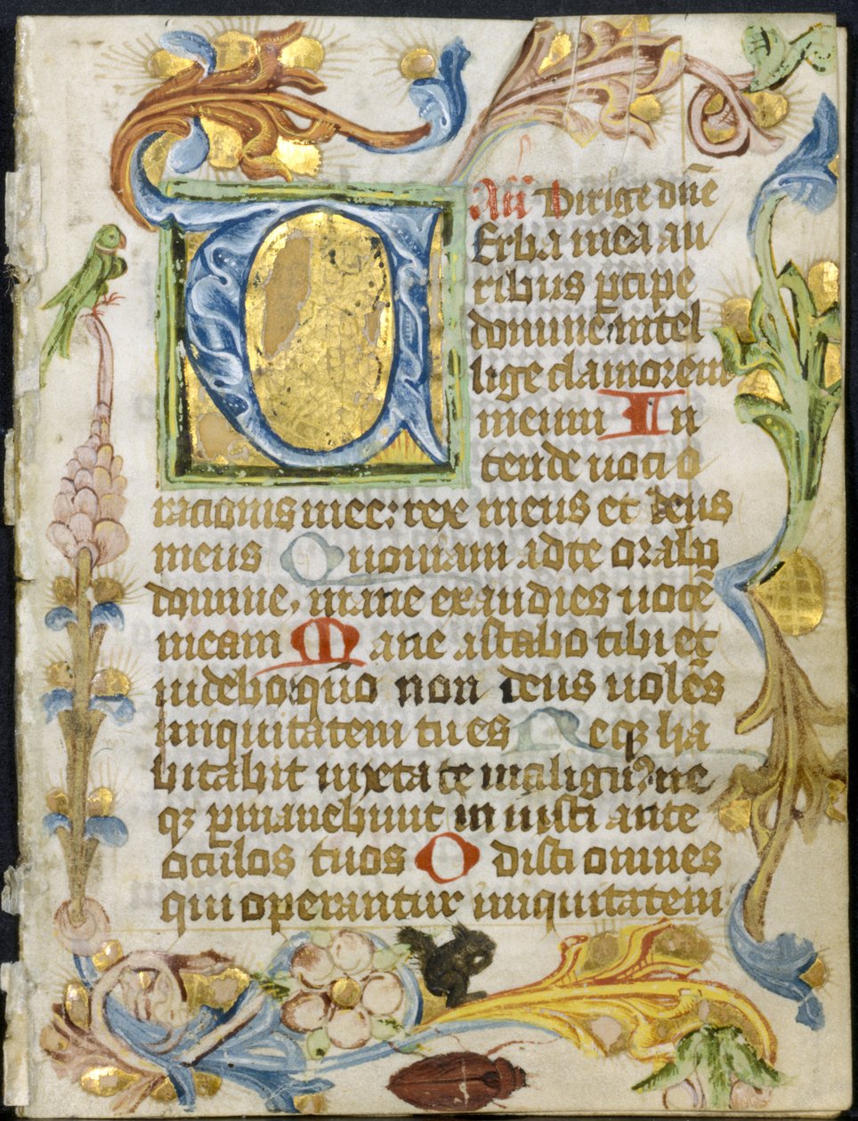 Lehti tuntikirjasta: Initial V kukkareunuksella, n. 1460-1500. tekijältä Unbekannt