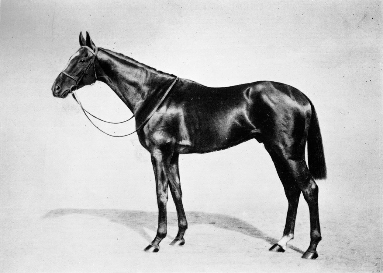 Lemberg, 1911 tekijältä Unbekannt