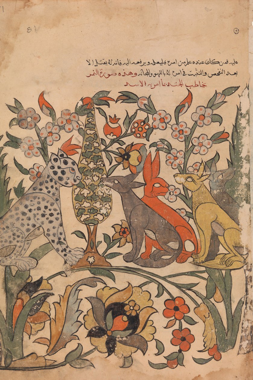 Leopardi, jolla on leijonan ritarikunta tuomaritovereille, Folio 51 recto Kalila wa Dimnasta, 1700-luku. tekijältä Unbekannt