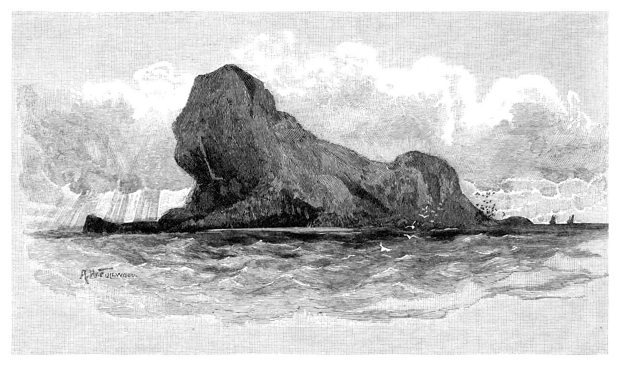 Lion Island, Australia, 1886 tekijältä Unbekannt