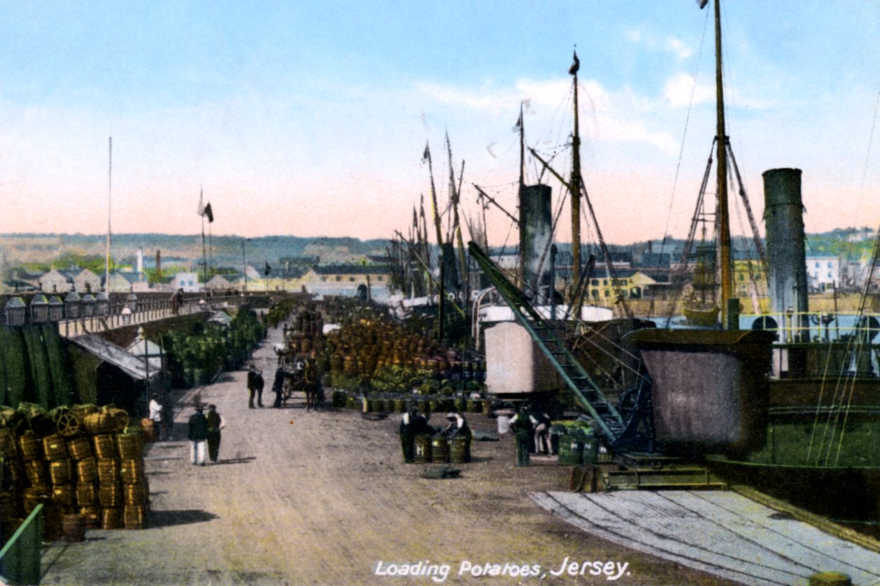 Loading Potatoes, Jersey, 1908 tekijältä Unbekannt