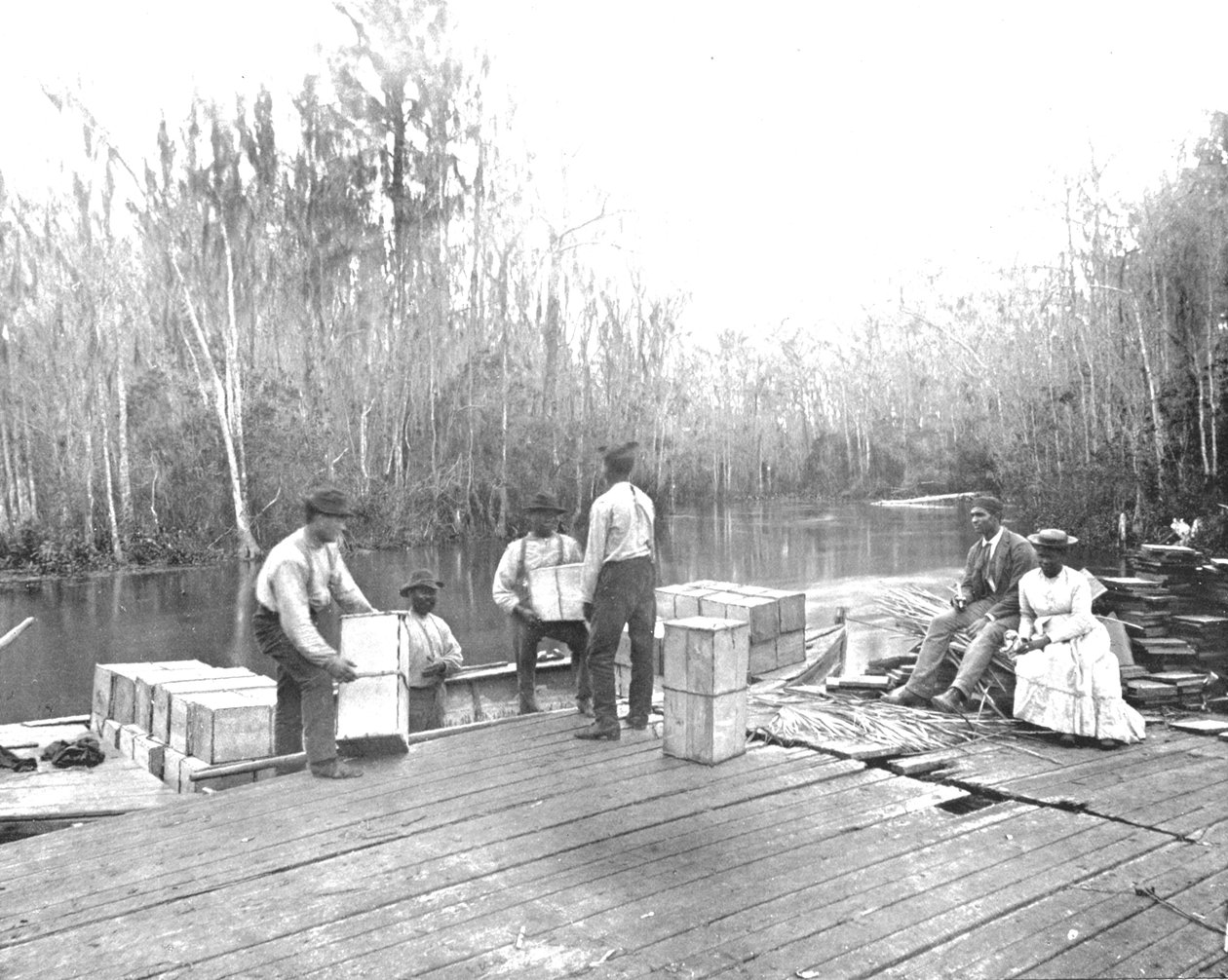 Ladataan appelsiineja Ocklawaha-joelle, Florida, USA, c1900. tekijältä Unbekannt